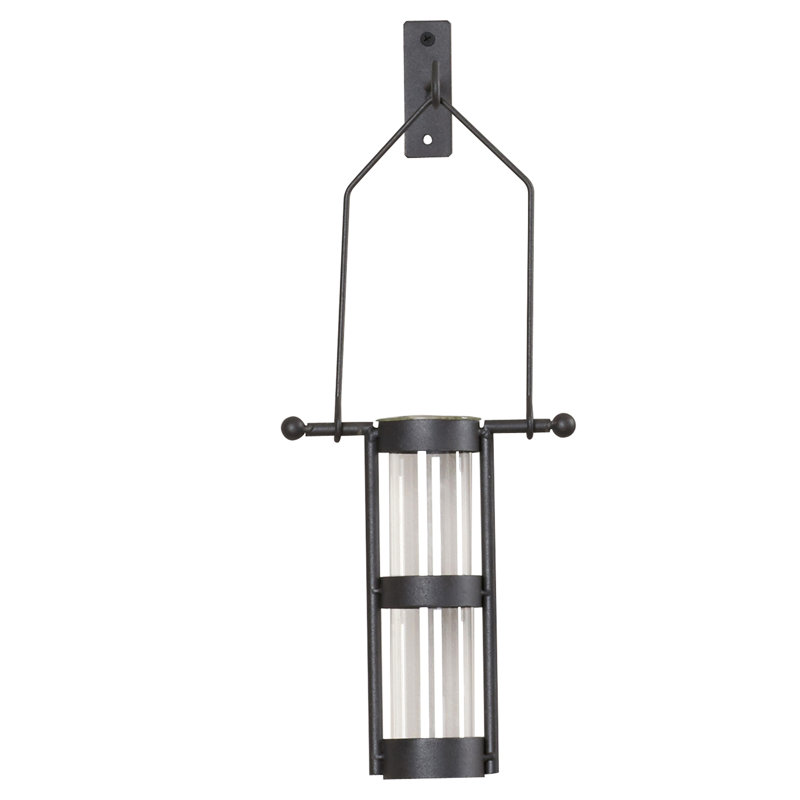 August Grove® Handmade Glass Wall Vase & Reviews Wayfair